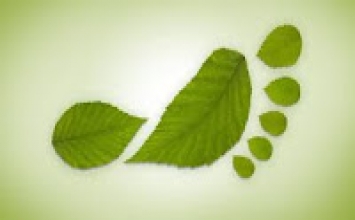 Tĩnh lặng giữa trần gian